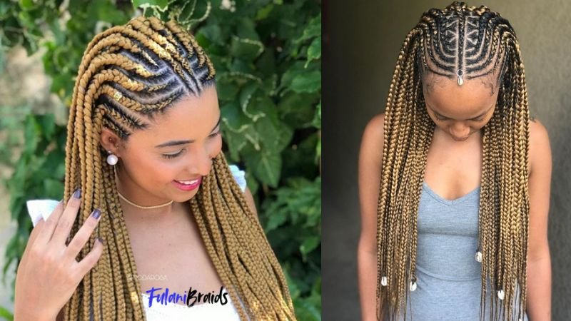 Colored Fulani Braids