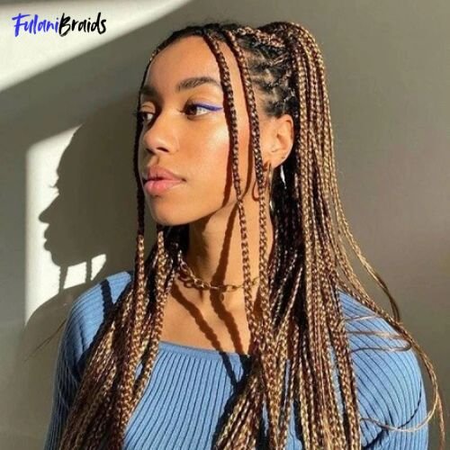 Fulani Braids into a High Ponytail