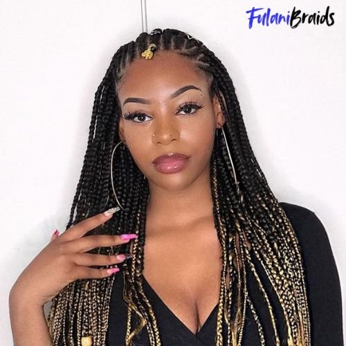 Fulani Braids with Hair Jewelry