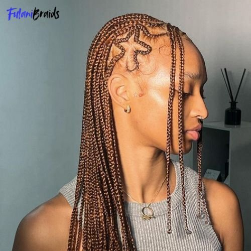 Fulani Braids with Shaved Sides