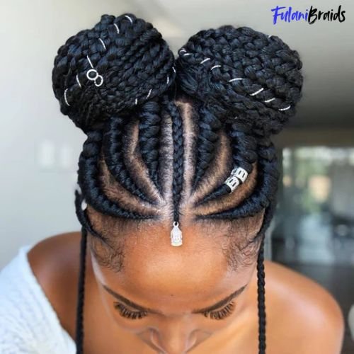 Half-Up, Half-Down Fulani Braids